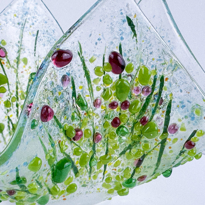 Wildflower Collection