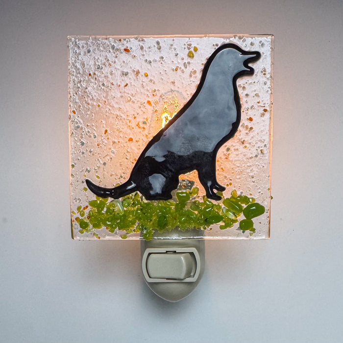 Backyard Friends Nightlight